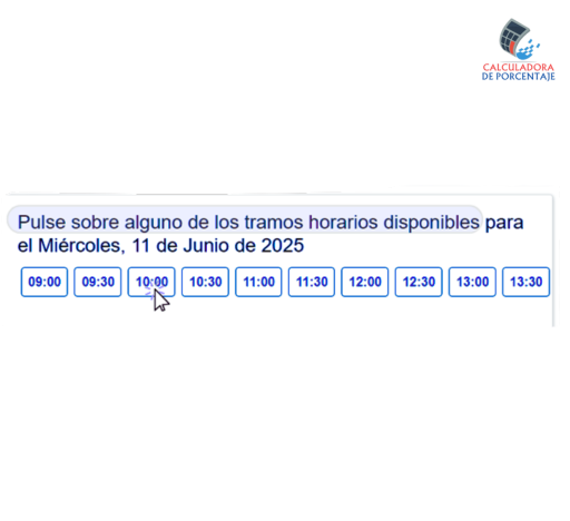 cita presencial renta 2024 12.1