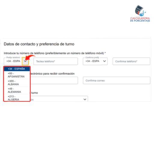 cita presencial renta 2024 4.1