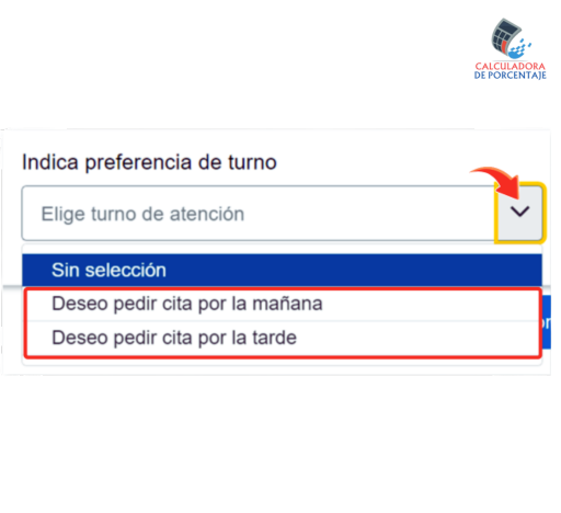 cita presencial renta 2024 6.1